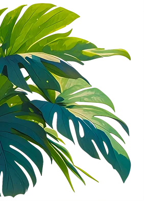 branches6-1.webp