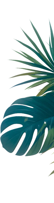 branches7-1.webp